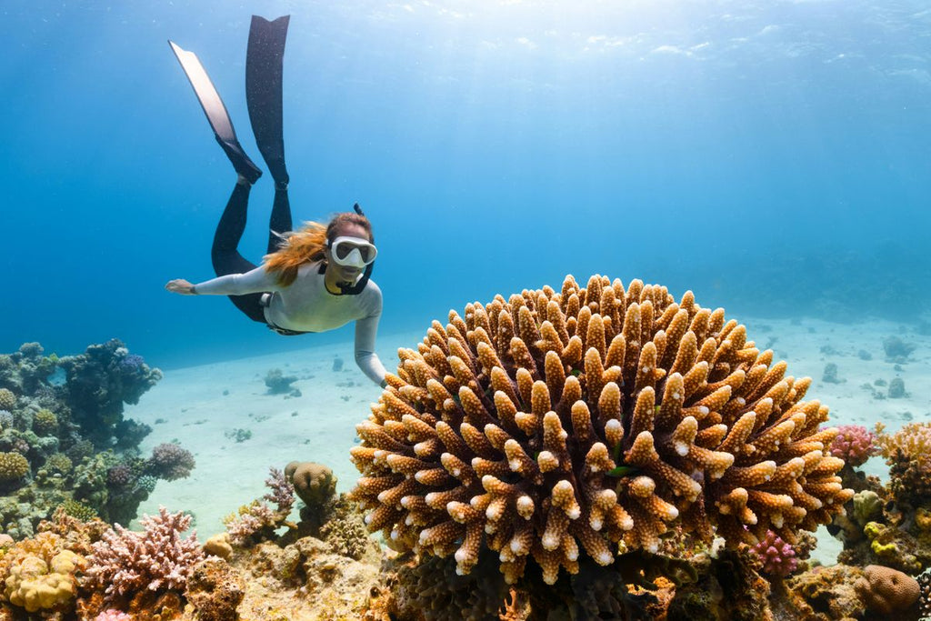 Elegant Coral Beads: Accessorizing with Nature's Marine Jewels
